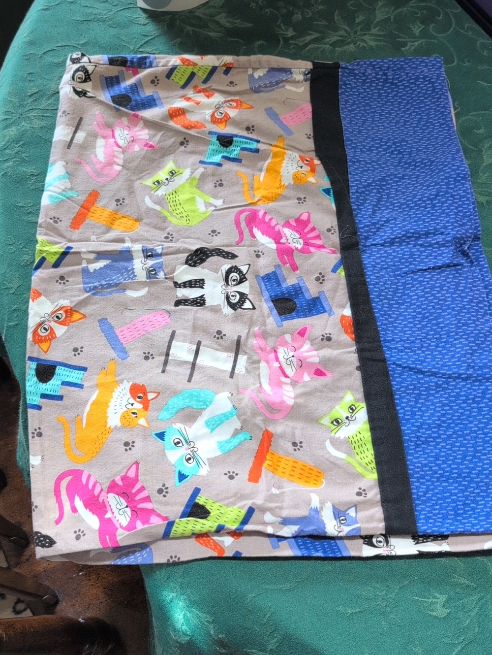 Cat Pillow Case